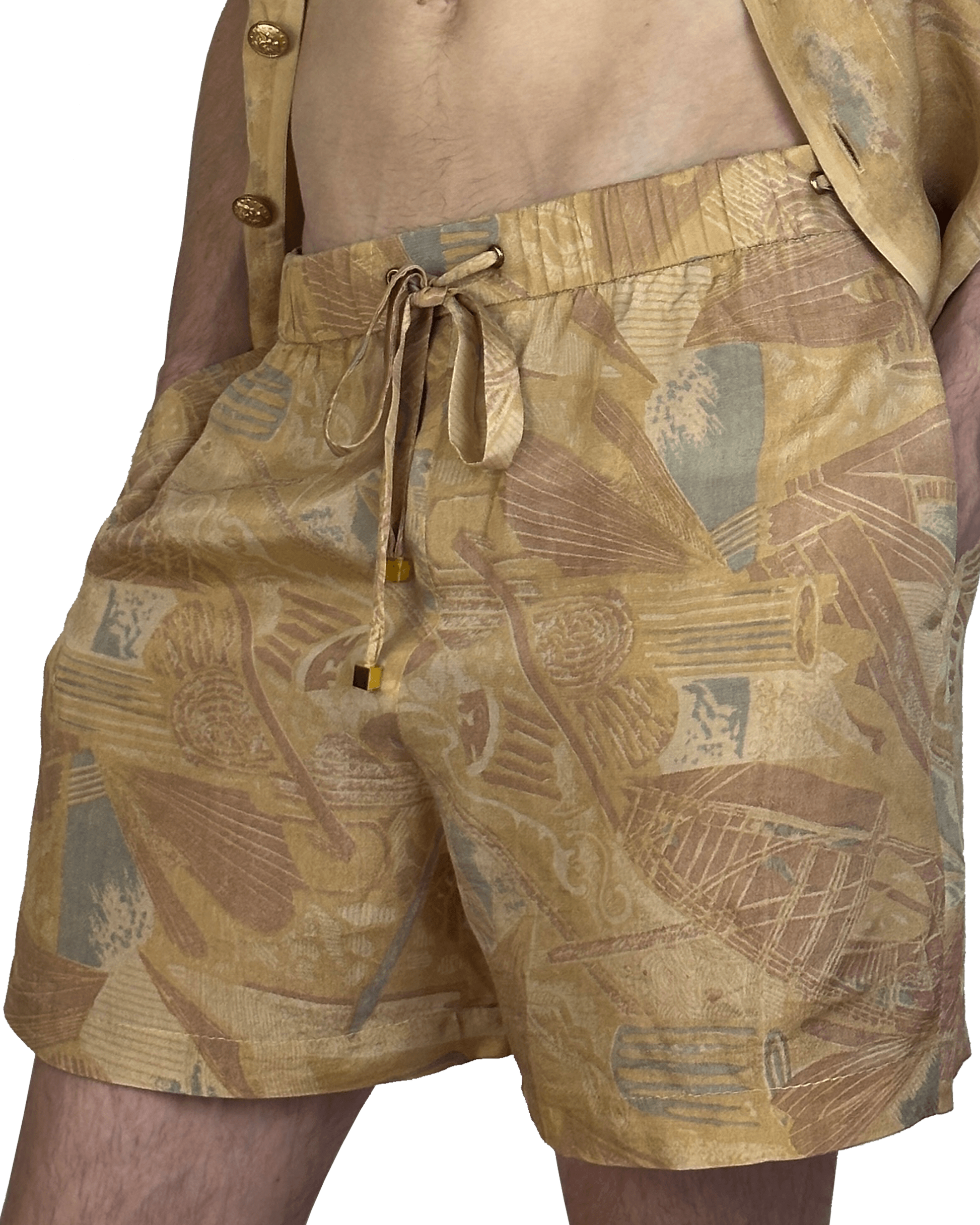 Sari Shorts