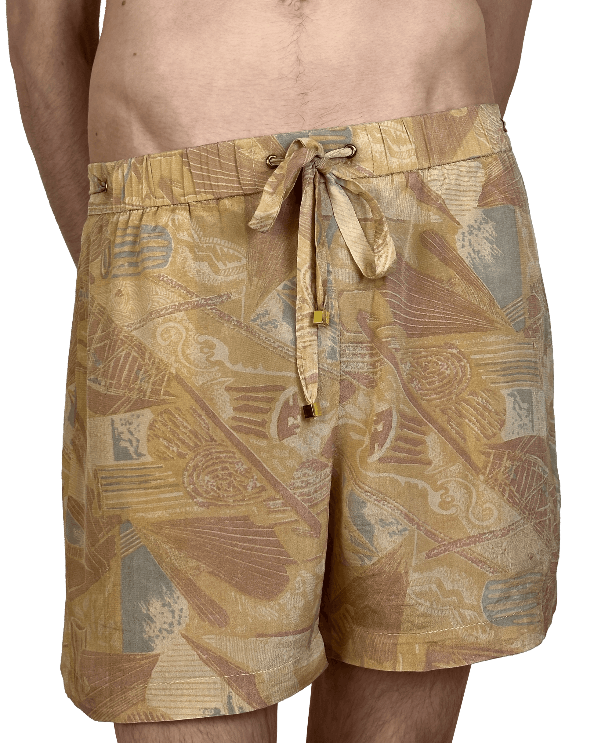 Sari Shorts
